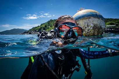 Cham Island Diving
