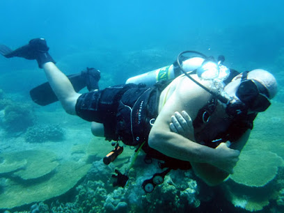 Mark Scott's Diving Vietnam