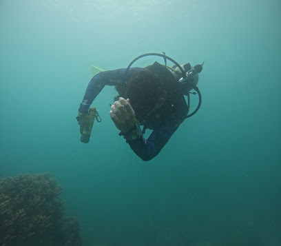 Angel Dive Center and Instructor Training Center