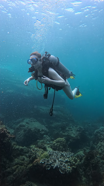 Vietnam VipDive