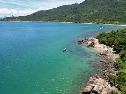 Bãi tắm Lặn biển Ngắm san hô