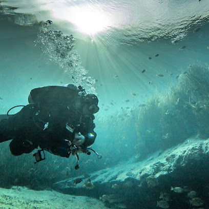 Go With The Flow Diving
