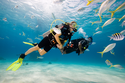 Anne Scuba Diving Inc.