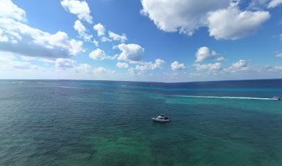 Dalila Divers Playa Palancar