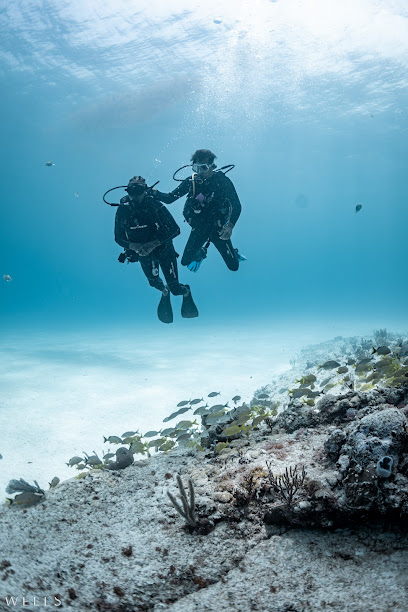 BUCEO KALIPSO