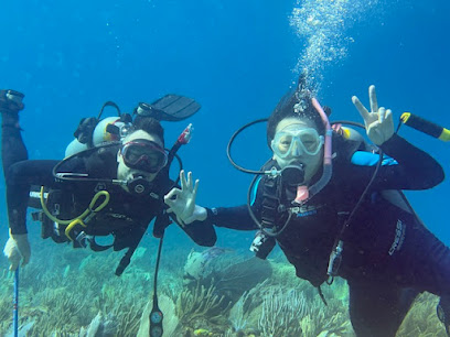 AlwaysDiving