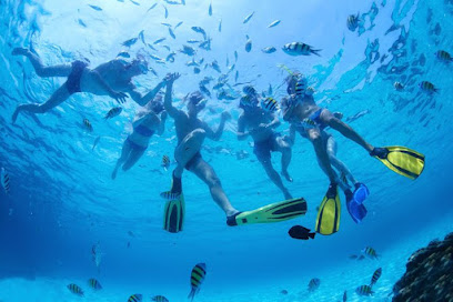 Snorkeling Tours in Cabo San Lucas - Cabo Excursions