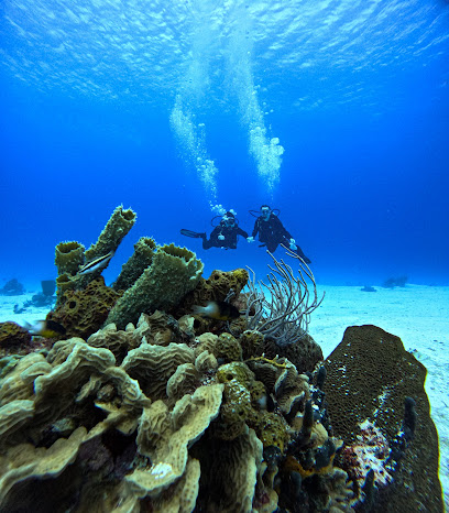 Island Divers Cozumel Scuba Dive center