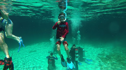 Cenote Scuba and Snorkel Experiences