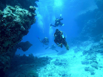 Discover Cozumel with Jorge