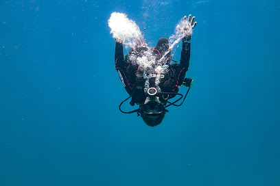Scuba Dive Cenotes Puerto Morelos