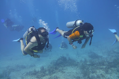 Scuba Steve