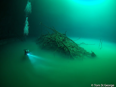 La Calypso Dive Center
