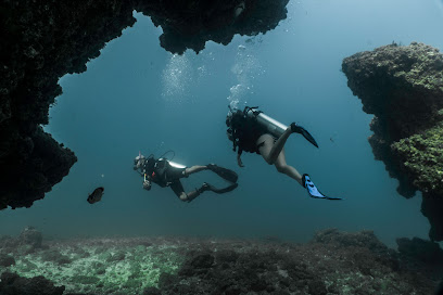 Scuba & Tours Vallarta - Buceo con certificación PADI