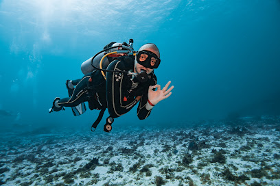 Dive Trip Cozumel