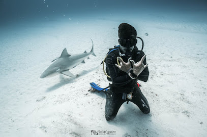DIVE 48 Riviera Maya