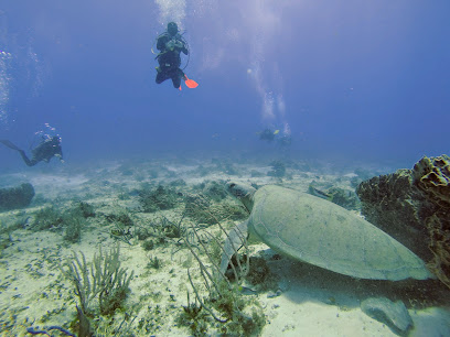 Punta Sur Divers
