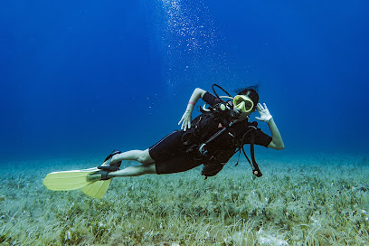 CoKo Divers