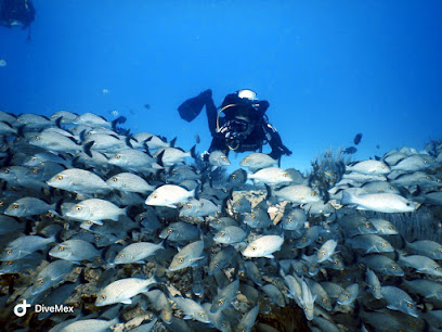 DiveMex