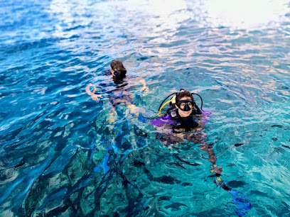 Diving Adventures Cozumel