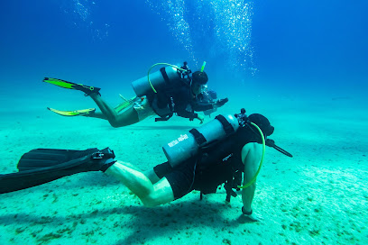 Careyitos Divers