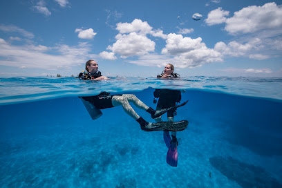 Divepackers Playa del Carmen