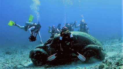 Tours Acuáticos TravelArt Museum Booking Online
