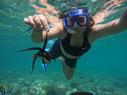Snorkeling