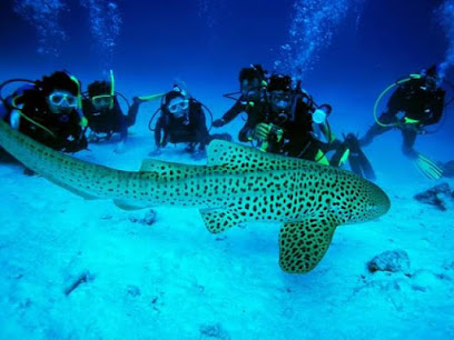 G.V. Scuba
