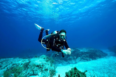Tommy.Cozumel.Dive