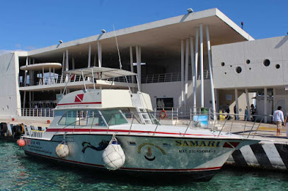 Diving Tours Caballito del Caribe