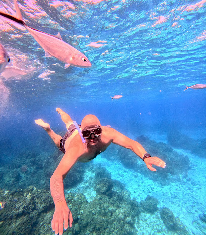 Xplora Cozumel