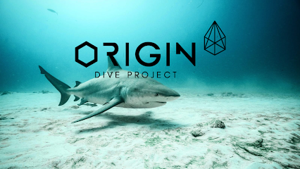 Origin Dive Tulum