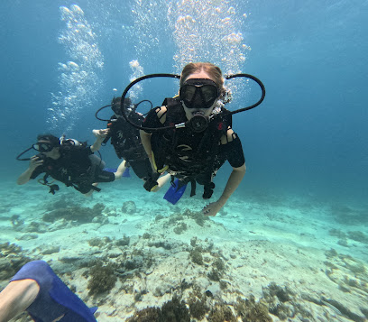 Scuba Diving Cancun - Virtual Office Punta Sam