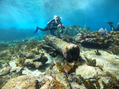 Mag Bay Diving