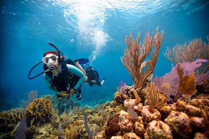 Buceo México by Dive Encounter