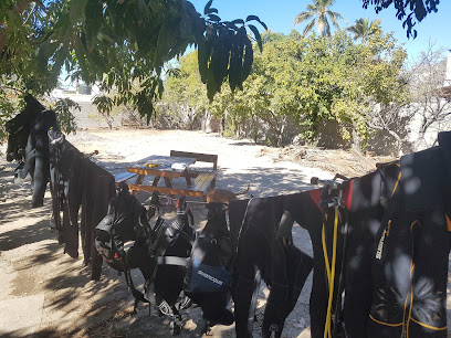 School of Diving La Paz