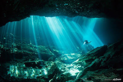 Cenote diving and snorkeling adventures