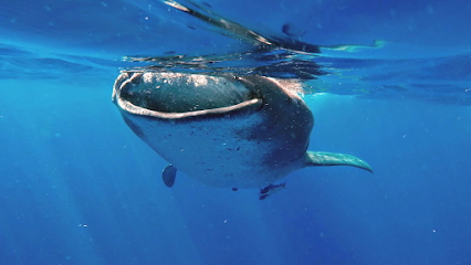 Underwater Mexico