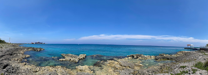 Cozumel Abyss Divers
