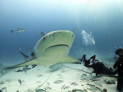 Scuba Libre