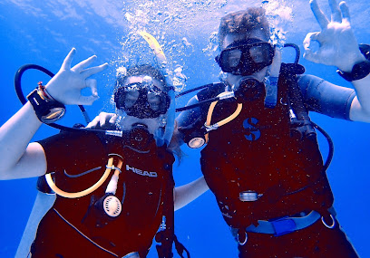Cozumel Dive School