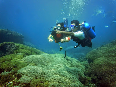 Buceo Huatulco