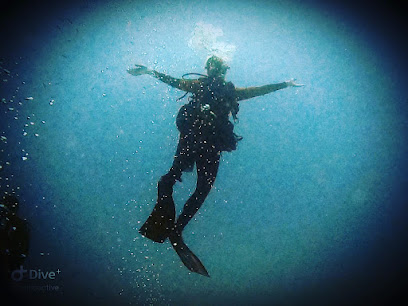 Sun and Sea Adventures