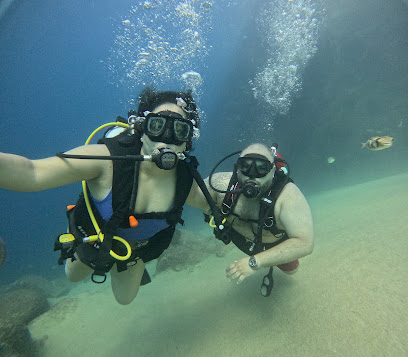 Tato Shark Expeditions