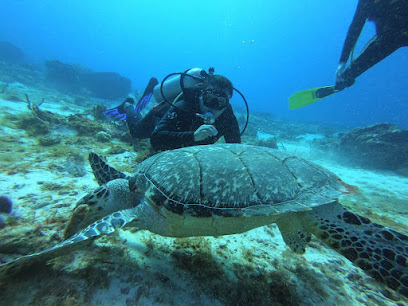 BEST DIVE COZUMEL MEXICO