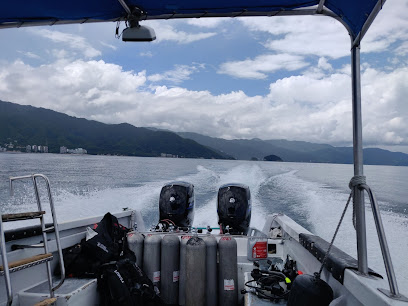 vallartadivers