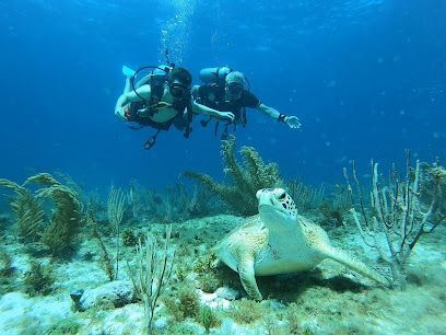 Blue Dive Cancun