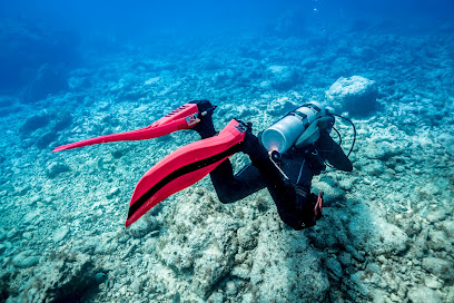 Cosmic Divers Vallarta