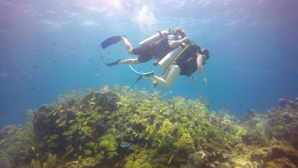 Sea Star Diving Center